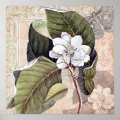 Vintag Magnolia Blossom Shabby Poster (Vorne)