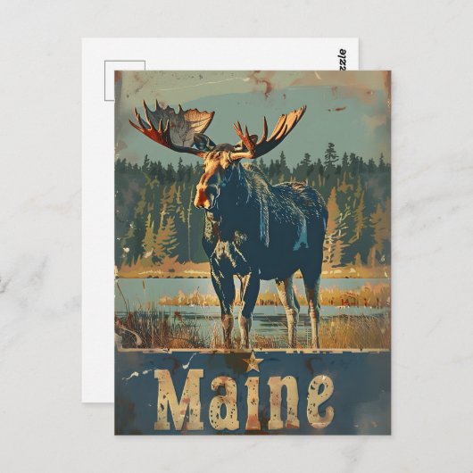 Vintag Maine Moose Postkarte (Vorne/Hinten)