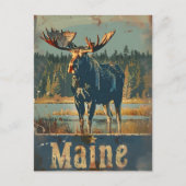 Vintag Maine Moose Postkarte (Vorderseite)