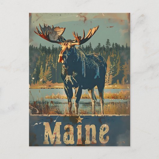 Vintag Maine Moose Postkarte (Vorderseite)