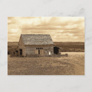 Vintag Maine Postkarte