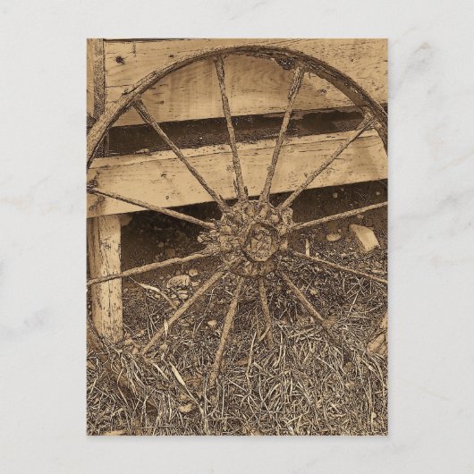 Vintag Maine Postkarte (Vorderseite)