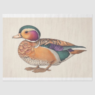Vintag Mandarin Duck Ornithology Decoupage Print Seidenpapier