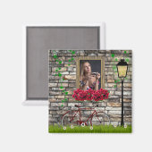 Vintag Märchenhof Fahrrad Rose Girly Foto Rahmen Magnet (Vorderseite/Rückseite)