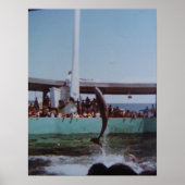 VINTAG MARINELAND POSTER (Vorne)