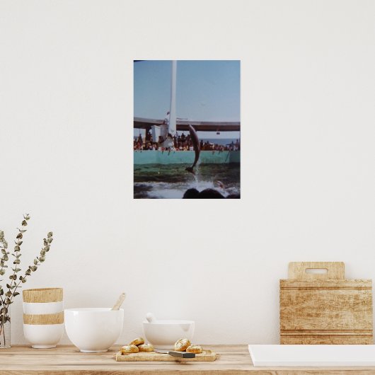 VINTAG MARINELAND POSTER (Küche)