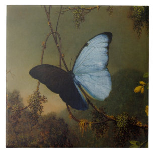 Vintag Martin Johnson Heade Blue Morpho Butterfly Fliese