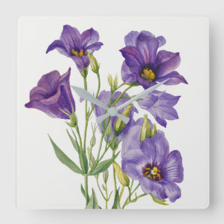 Vintag Mary Vaux Walcott Blume Botanicals Quadratische Wanduhr