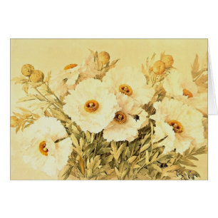 Vintag Matilija Poppies