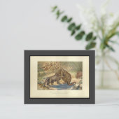 Vintag Megalosaurus VS Iguanodon Postcard Postkarte (Stehend Vorderseite)