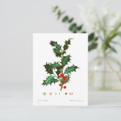 Vintag Merry Christmas Holly Mistletoe Postkarte (Stehend Vorderseite)