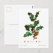 Vintag Merry Christmas Holly Mistletoe Postkarte (Vorne/Hinten)