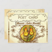 Vintag Minnesota Staat Blume Postkarte (Vorne/Hinten)