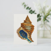 Vintag Mollusk-Muschel von George Shaw Postkarte (Stehend Vorderseite)