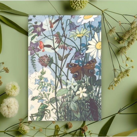 Vintag Morgengrasinsekten Else Wenz Vietor Dankeskarte