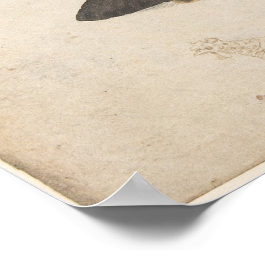 Vintag Moth Illustration Poster (Ecke)