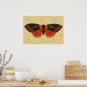 Vintag Moth Poster (Küche)