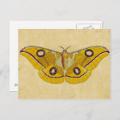 Vintag Moth Postkarte (Vorne/Hinten)