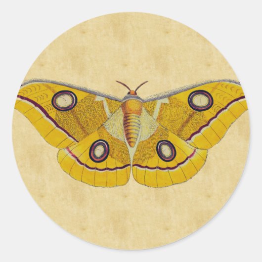 Vintag Moth Runder Aufkleber (Vorderseite)
