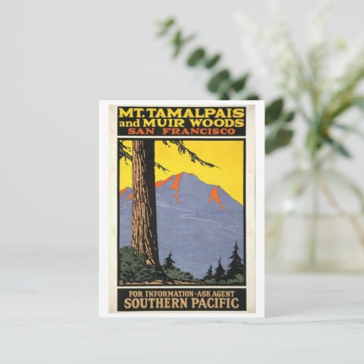 Vintag Muir Woods & Mt Tamalpais Postkarte (Stehend Vorderseite)