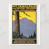 Vintag Muir Woods & Mt Tamalpais Postkarte (Vorderseite)