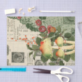 Vintag Mushroom Ephemera Seidenpapier (Handwerk)