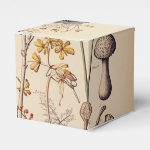 Vintag Mushroom Naturalist Geschenkschachtel