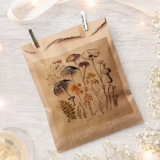 Vintag Mushroom Naturalist Geschenktütchen (Ausgeschnitten)