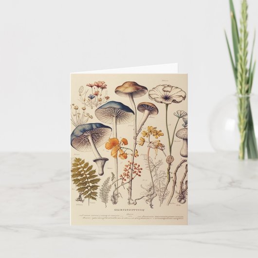 Vintag Mushroom Naturalist Karte (Vorderseite)