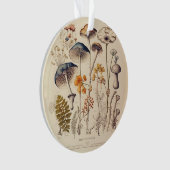 Vintag Mushroom Naturalist Ornament (Vorderseite)