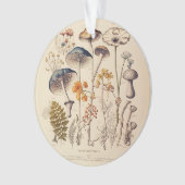 Vintag Mushroom Naturalist Ornament (Vorderseite)