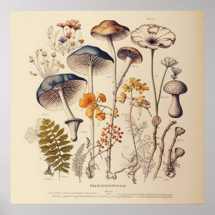 Vintag Mushroom Naturalist Poster