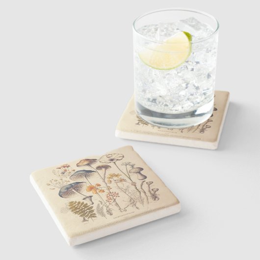 Vintag Mushroom Naturalist Steinuntersetzer (Seitenansicht)