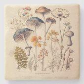 Vintag Mushroom Naturalist Steinuntersetzer (Vorderseite)