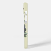 Vintag Music Magazine Cover Art, Etude Frog Choir (Rückseite / Links)