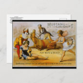 Vintag Mustang Liniment Postkarte (Vorne/Hinten)