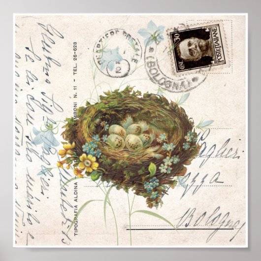 Vintag Nest Blume Italienische Postkarte Poster (Vorne)