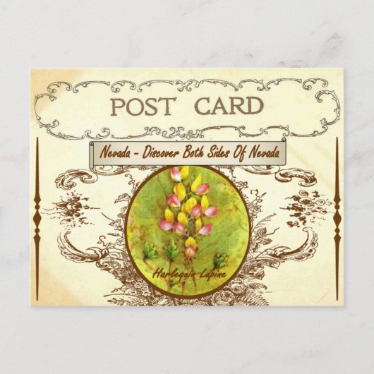 Vintag Nevada Staat Blume Postkarte (Vorderseite)