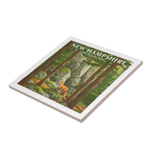Vintag New Hampshire Fliese (Seite)