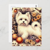 Vintag Niedlich maltesisch Postkarte (Vorne/Hinten)