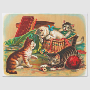 Vintag Niedliche Schwarz-weiße Orange Kittens Deco Seidenpapier