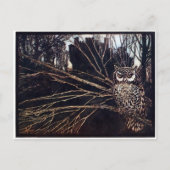 Vintag Night Owl Rackham Postkarte (Vorderseite)