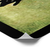 Vintag Nosferatu Poster (Ecke)