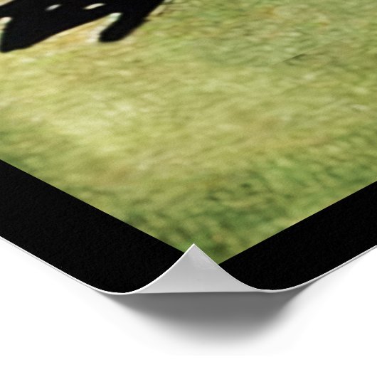 Vintag Nosferatu Poster (Ecke)