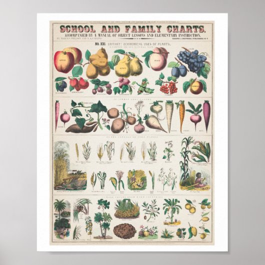 Vintag Obstfamilien-Kunstdruckposter Poster (Vorne)