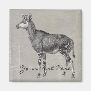 Vintag Okapi Magnet