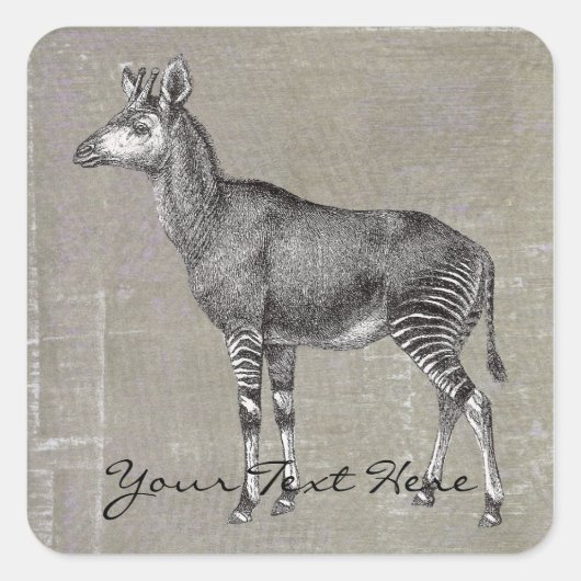 Vintag Okapi Quadratischer Aufkleber (Vorderseite)