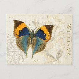 Vintag Orange Blue Butterfly Botanische Postkarte