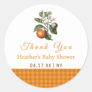 Vintag Orange Gingham Baby Dusche Vielen Dank Runder Aufkleber