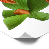 Vintag Orange Lila Orchid Blume - Poster (Ecke)